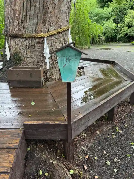 平野神社(京都府)
