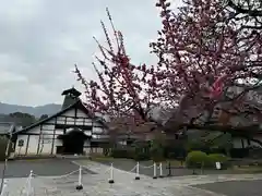 醍醐寺(京都府)