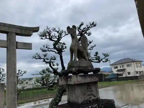 稲荷神社の狛犬