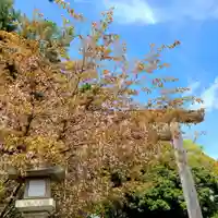 蒲神明宮の自然