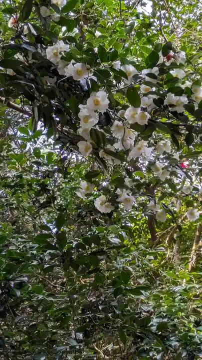 大豊神社(京都府)