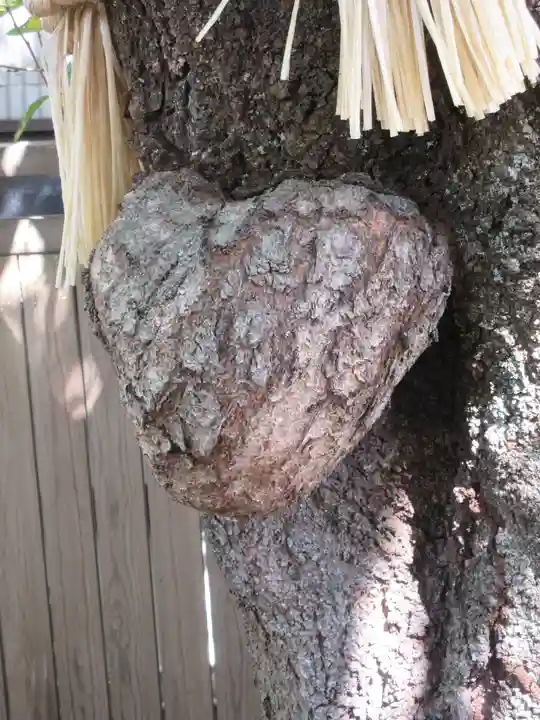 小室浅間神社の自然