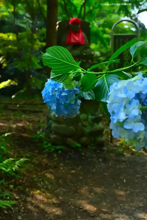 高幡不動尊 金剛寺(東京都)