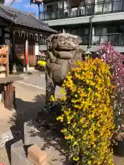 水堂須佐男神社の狛犬