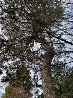 松先稲荷神社(千葉県)
