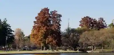 徳島稲荷神社(埼玉県)