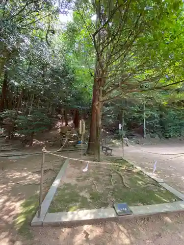 安仁神社の自然