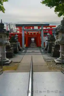 小泉稲荷神社の鳥居