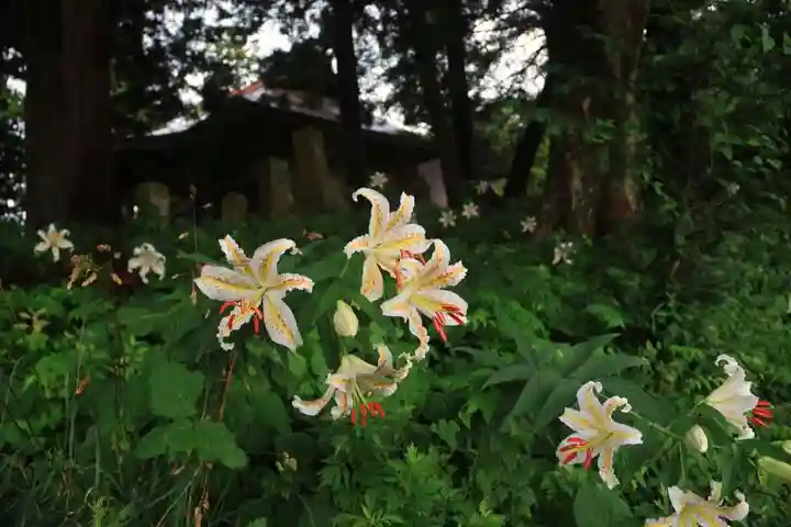 鬼渡神社の自然