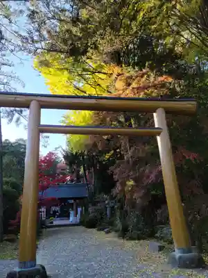 神明社の鳥居