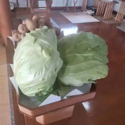 七重浜海津見神社(北海道)