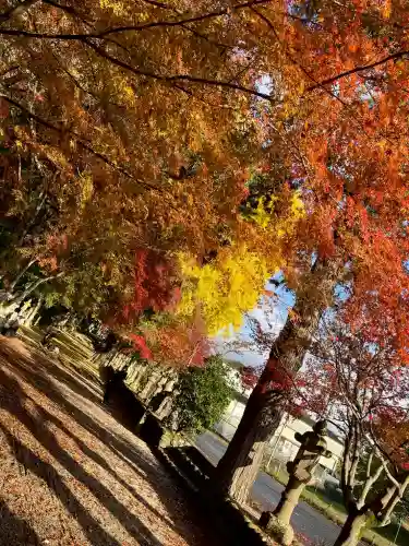 積田神社の{uncategorized: "未分類", other: "その他", undefined: "問題あり", building: "その他建物", grave: "お墓", sacred_gate: "鳥居", guardian: "狛犬", statue: "像", buddha: "仏像", history: "歴史", nature: "自然", garden: "庭園", animal: "動物", pagoda: "塔", temizu: "手水舎", mountain_gate: "山門・神門", sanctuary: "本殿・本堂", subordinate: "末社・摂社", art: "芸術", scenery: "景色", jizo: "地蔵", ema: "絵馬", goshuin: "御朱印", omikuji: "おみくじ", items: "授与品その他", amulet: "お守り", goshuincho: "御朱印帳", eats: "食事", festival: "お祭り", votive_dance: "神楽", shichigosan: "七五三参", wedding: "結婚式", experience: "体験その他", initially: "初詣", around: "周辺", anti_infection: "感染症対策"}
