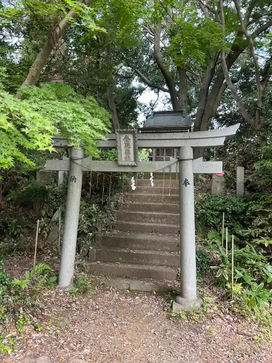 金毘羅社の鳥居
