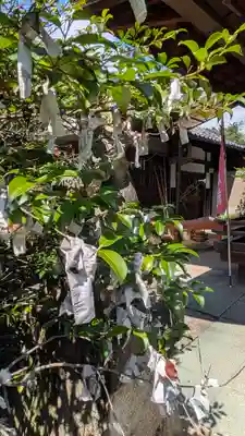 御辰稲荷神社(京都府)