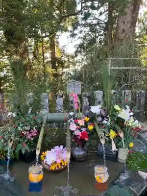 熊野那智大社(和歌山県)