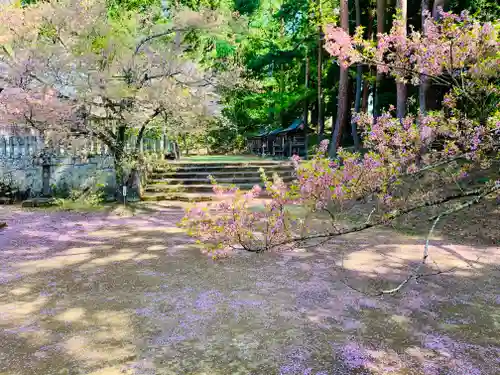 土津神社｜こどもと出世の神さまの自然