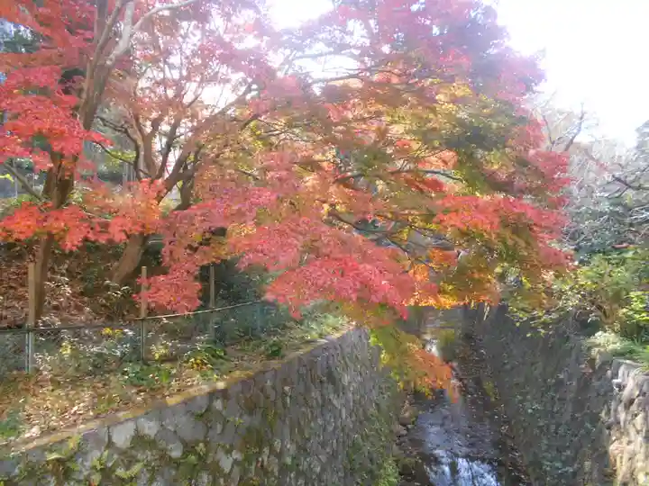 理智光寺跡(理智光寺址)<史跡>の自然