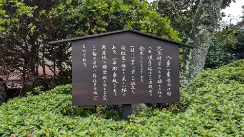 極楽寺（霊鷲山感應院極楽律寺）の自然