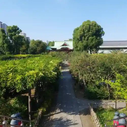 亀戸天神社の庭園