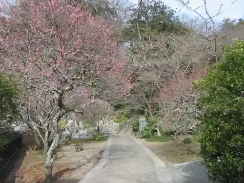 妙本寺の景色