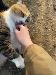 玉野御嶽神社の動物