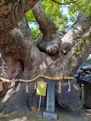 三島神社(大阪府)