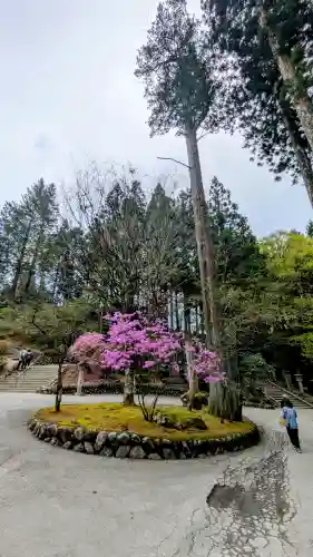 三峯神社の{uncategorized: "未分類", other: "その他", undefined: "問題あり", building: "その他建物", grave: "お墓", sacred_gate: "鳥居", guardian: "狛犬", statue: "像", buddha: "仏像", history: "歴史", nature: "自然", garden: "庭園", animal: "動物", pagoda: "塔", temizu: "手水舎", mountain_gate: "山門・神門", sanctuary: "本殿・本堂", subordinate: "末社・摂社", art: "芸術", scenery: "景色", jizo: "地蔵", ema: "絵馬", goshuin: "御朱印", omikuji: "おみくじ", items: "授与品その他", amulet: "お守り", goshuincho: "御朱印帳", eats: "食事", festival: "お祭り", votive_dance: "神楽", shichigosan: "七五三参", wedding: "結婚式", experience: "体験その他", initially: "初詣", around: "周辺", anti_infection: "感染症対策"}