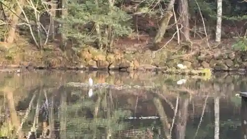 伊勢神宮内宮（皇大神宮）の{uncategorized: "未分類", other: "その他", undefined: "問題あり", building: "その他建物", grave: "お墓", sacred_gate: "鳥居", guardian: "狛犬", statue: "像", buddha: "仏像", history: "歴史", nature: "自然", garden: "庭園", animal: "動物", pagoda: "塔", temizu: "手水舎", mountain_gate: "山門・神門", sanctuary: "本殿・本堂", subordinate: "末社・摂社", art: "芸術", scenery: "景色", jizo: "地蔵", ema: "絵馬", goshuin: "御朱印", omikuji: "おみくじ", items: "授与品その他", amulet: "お守り", goshuincho: "御朱印帳", eats: "食事", festival: "お祭り", votive_dance: "神楽", shichigosan: "七五三参", wedding: "結婚式", experience: "体験その他", initially: "初詣", around: "周辺", anti_infection: "感染症対策"}
