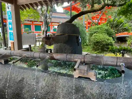 賀茂別雷神社（上賀茂神社）の手水舎
