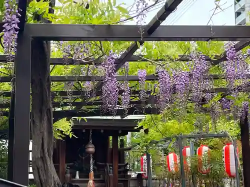 藤之宮　春日神社（野田の藤跡）の{uncategorized: "未分類", other: "その他", undefined: "問題あり", building: "その他建物", grave: "お墓", sacred_gate: "鳥居", guardian: "狛犬", statue: "像", buddha: "仏像", history: "歴史", nature: "自然", garden: "庭園", animal: "動物", pagoda: "塔", temizu: "手水舎", mountain_gate: "山門・神門", sanctuary: "本殿・本堂", subordinate: "末社・摂社", art: "芸術", scenery: "景色", jizo: "地蔵", ema: "絵馬", goshuin: "御朱印", omikuji: "おみくじ", items: "授与品その他", amulet: "お守り", goshuincho: "御朱印帳", eats: "食事", festival: "お祭り", votive_dance: "神楽", shichigosan: "七五三参", wedding: "結婚式", experience: "体験その他", initially: "初詣", around: "周辺", anti_infection: "感染症対策"}