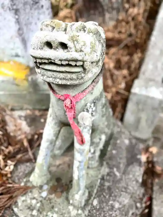 荒舩神社の狛犬