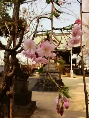 諏訪神社(東京都)