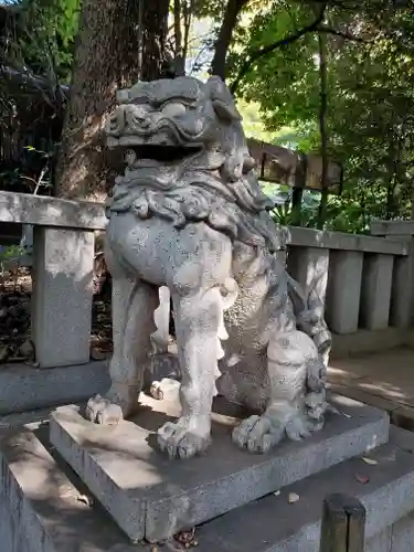 渋谷氷川神社の狛犬