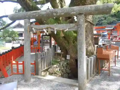 熊野那智大社(和歌山県)