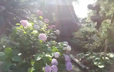 小倉祇園八坂神社のその他建物
