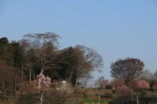 阿久津「田村神社」（郡山市阿久津町）旧社名：伊豆箱根三嶋三社の景色