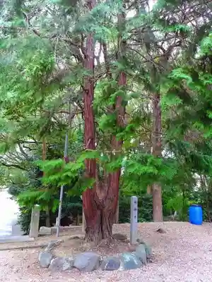 諏訪社（相原郷諏訪社）のその他建物