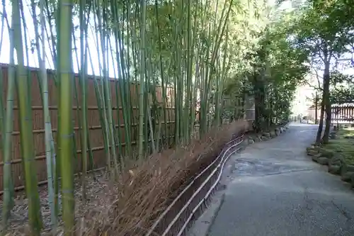 城南宮の庭園