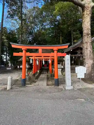 宇都宮二荒山神社(栃木県)