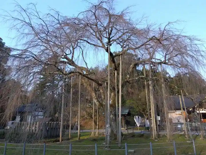 足羽神社(福井県)