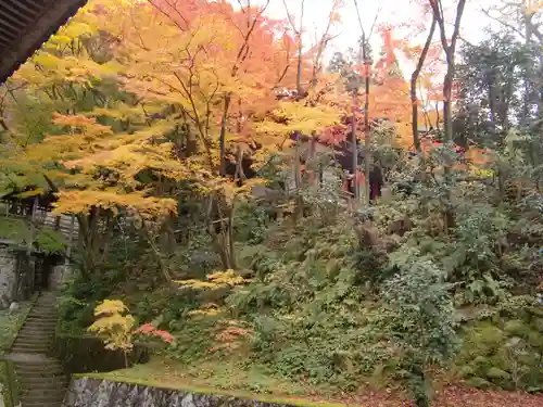 禅林寺（永観堂）(京都府)