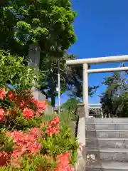 滝川神社の建物その他