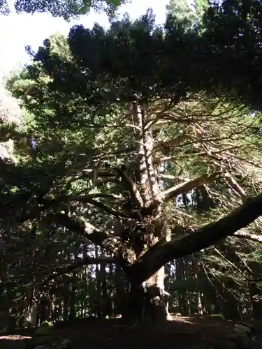 真山神社(秋田県)