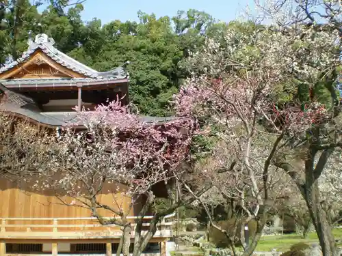 太宰府天満宮の自然