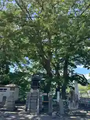 天王神社(山梨県)