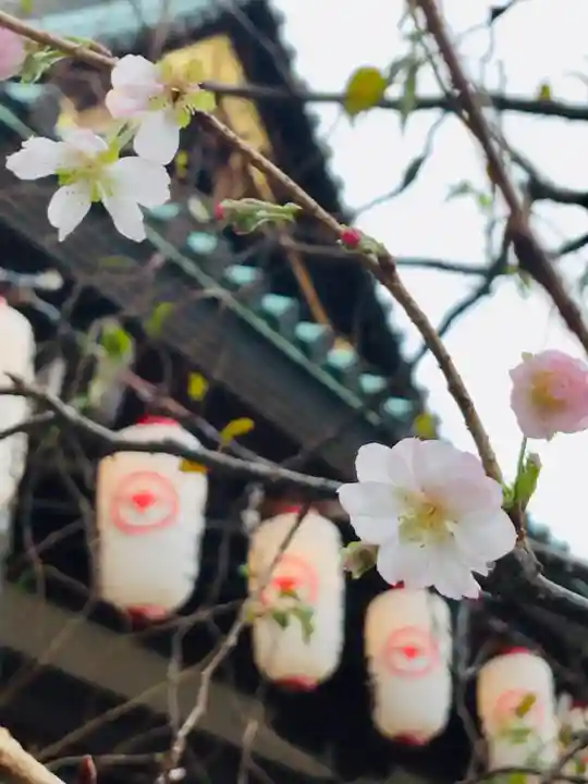 大坊本行寺の自然
