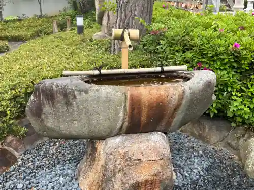 伊和志津神社の{uncategorized: "未分類", other: "その他", undefined: "問題あり", building: "その他建物", grave: "お墓", sacred_gate: "鳥居", guardian: "狛犬", statue: "像", buddha: "仏像", history: "歴史", nature: "自然", garden: "庭園", animal: "動物", pagoda: "塔", temizu: "手水舎", mountain_gate: "山門・神門", sanctuary: "本殿・本堂", subordinate: "末社・摂社", art: "芸術", scenery: "景色", jizo: "地蔵", ema: "絵馬", goshuin: "御朱印", omikuji: "おみくじ", items: "授与品その他", amulet: "お守り", goshuincho: "御朱印帳", eats: "食事", festival: "お祭り", votive_dance: "神楽", shichigosan: "七五三参", wedding: "結婚式", experience: "体験その他", initially: "初詣", around: "周辺", anti_infection: "感染症対策"}