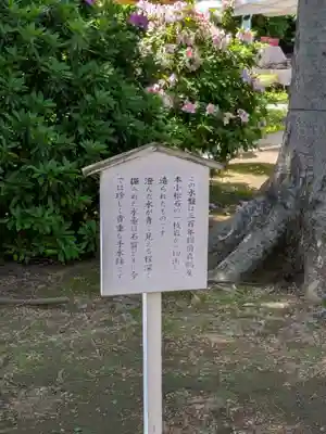 根津神社(東京都)