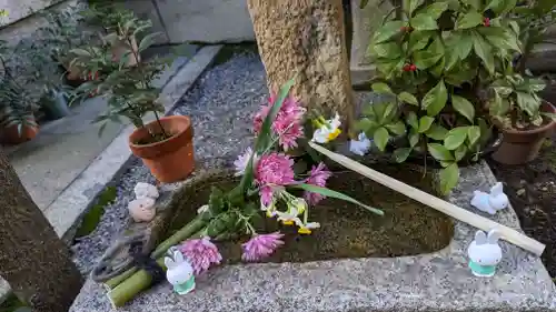 元祇園梛神社・隼神社の手水舎