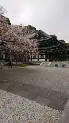 長谷寺の本殿・本堂